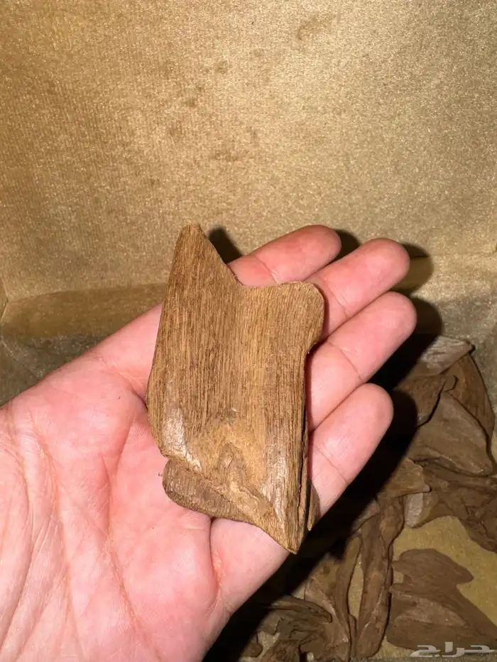 عود موروكي اصقون تربل ودبل عالي قديم جدا 3