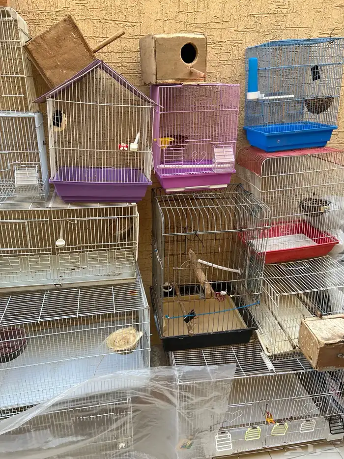 اقفاص وصناديق مستخدمه ونظيفه للبيع 0