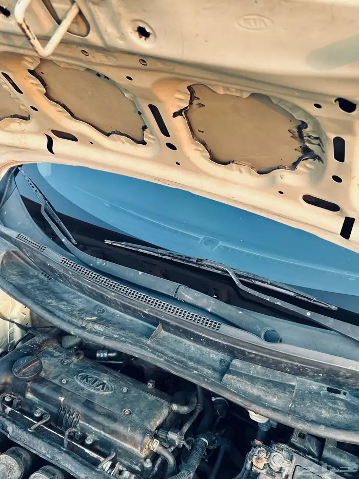 كيا ريو 2013 16