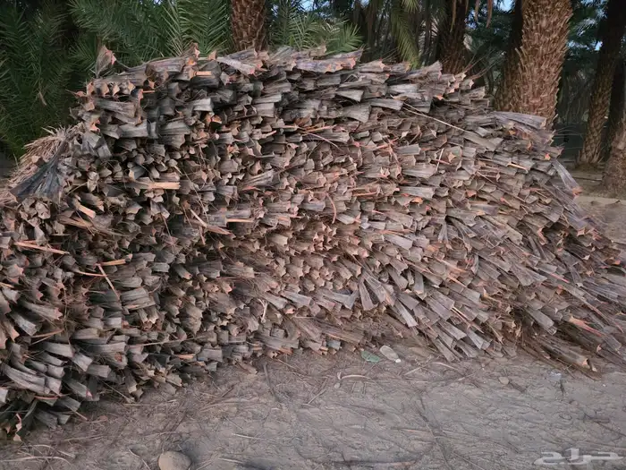 بيشة_ وادي ترج _ هجرة الفطحة 0