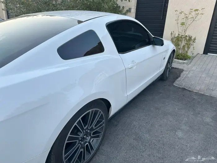 موستنق 2010 GT 3