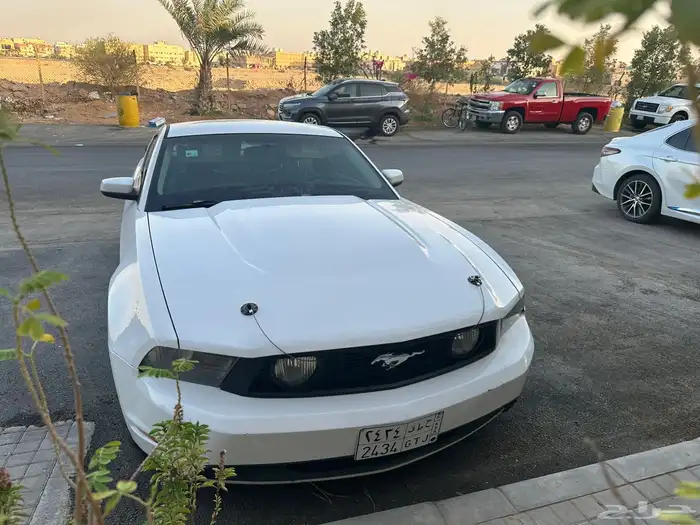 موستنق 2010 GT 2