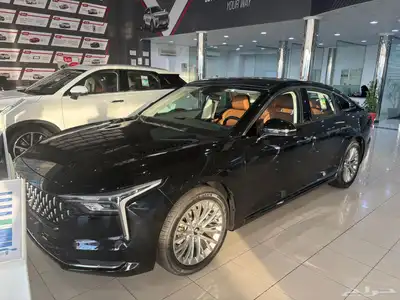 حي البديعه index