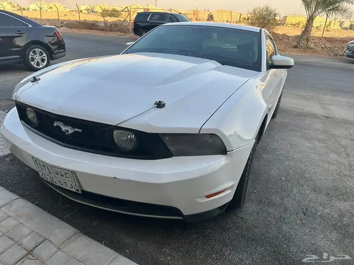 موستنق 2010 GT 1