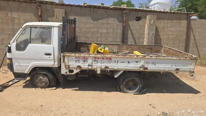 دينا تشليح 2