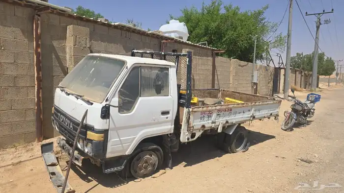 دينا تشليح 0