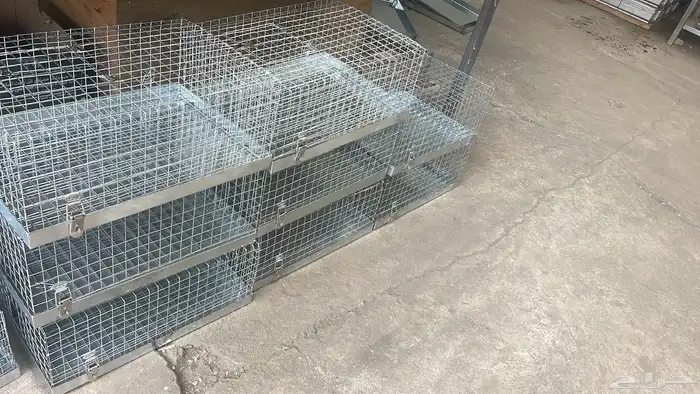 قفص حمام للصقاقير ومراكيب 2