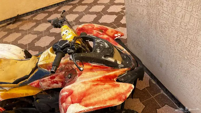 دباب سويدي للبيع طيب 1