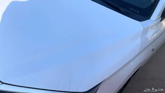 تجاليد يارس للبيع 6