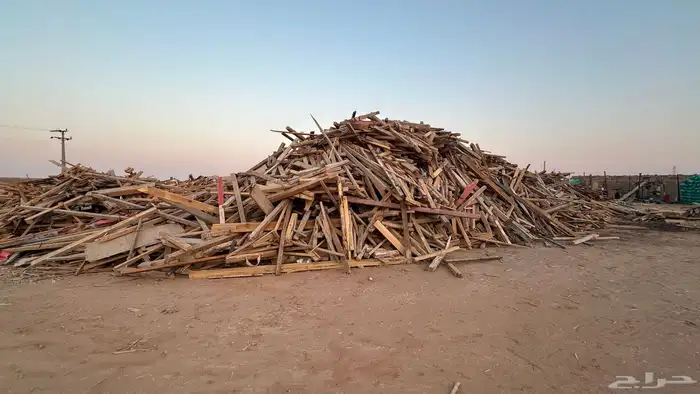 مصنع نشارة للبيع متكامل و شغال 7