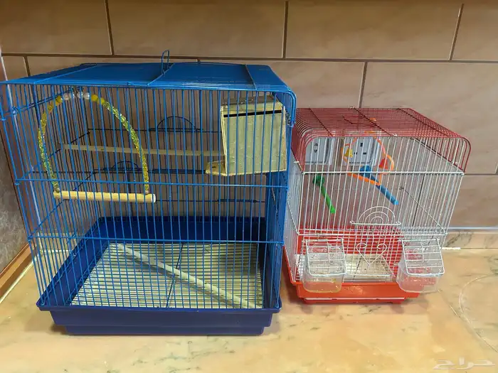 شبك عصافير 2 نظيفه استخدام اسبوع 0