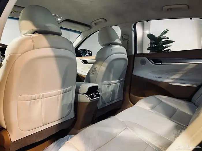 ازيرا جرانديور 2020 بطاقه جمركيه 13