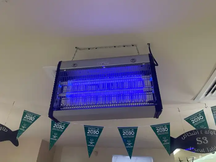 ناموسية مطاعم 3 حبات مقاس كبير 0