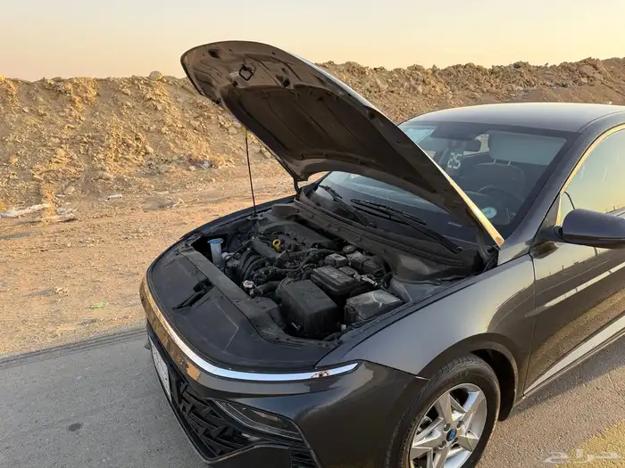 اكسنت 2025 لون رمادي 45