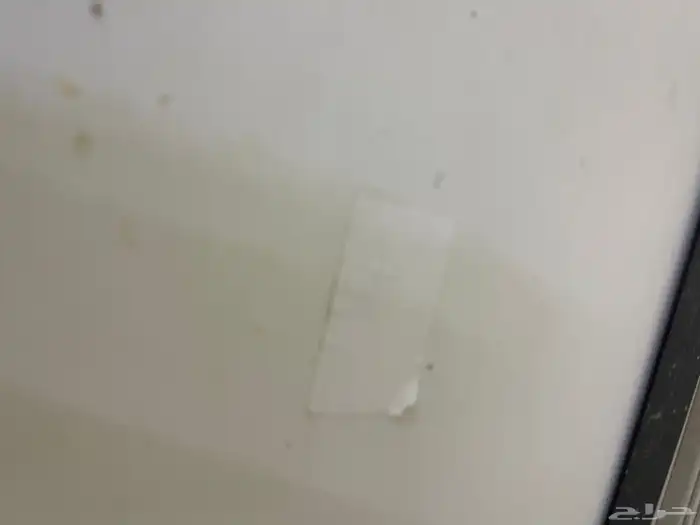 للبيع فقاسه برنسي فقاسه بلاك شيكن تايلندي 3