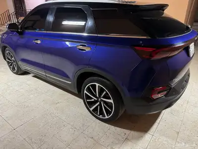 فاو بيستون t77 2022 index