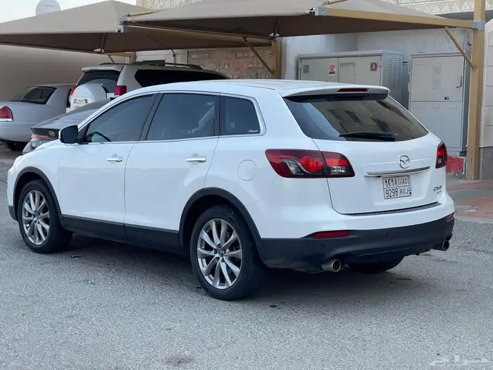 تم البيع تم البيع تم البيع 18