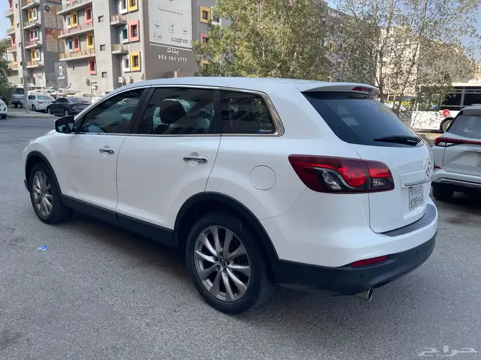 تم البيع تم البيع تم البيع 17