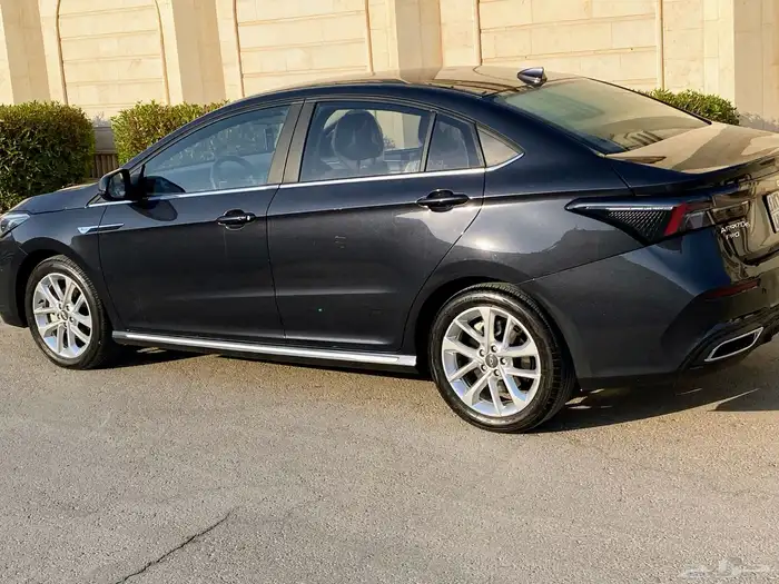 شيري اريزو 2024 7