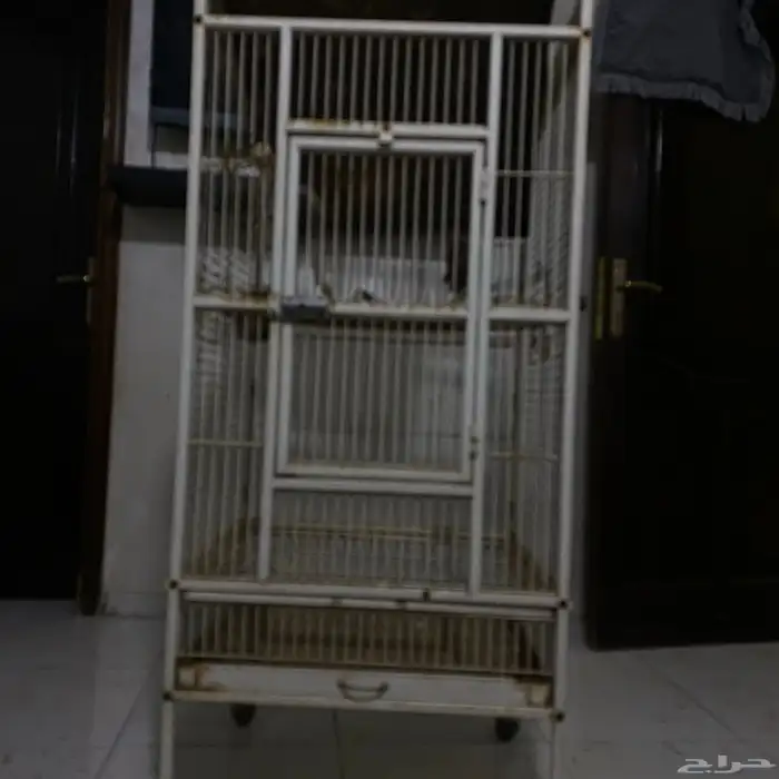 قفص ببغاء 2