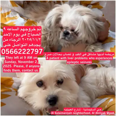 السليمانية شارع العبيليه 0