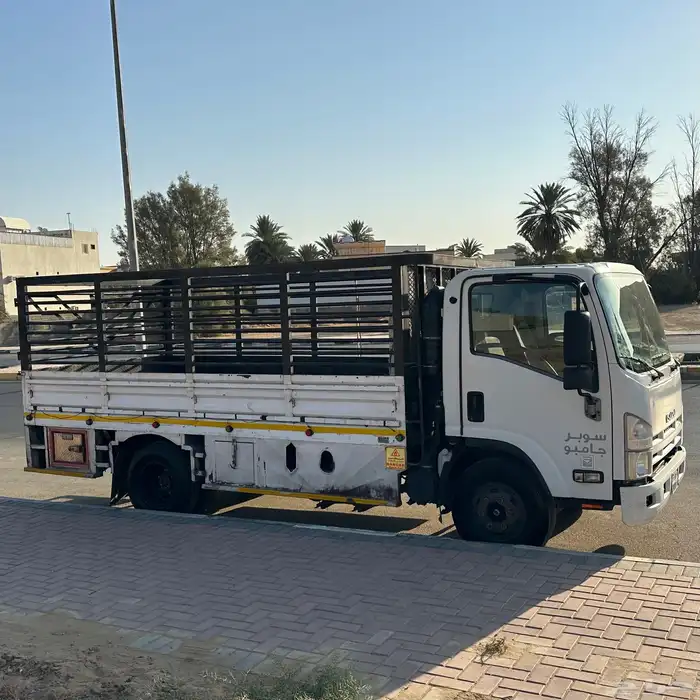 دينا دينه ايسوزو 2013 نظيف 0