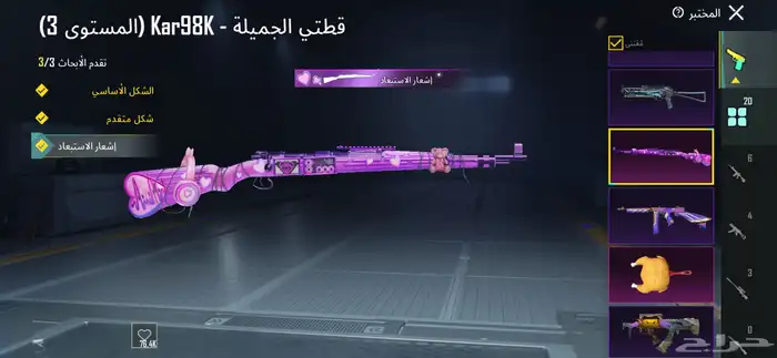 ببجي موبايل 22