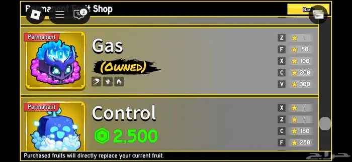 حساب روبلوكس   بلوكس فروت 13