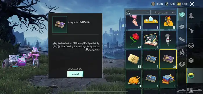 حساب ببجي 29