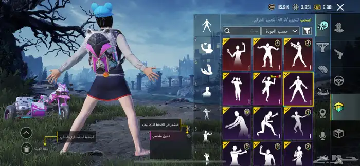 حساب ببجي 33