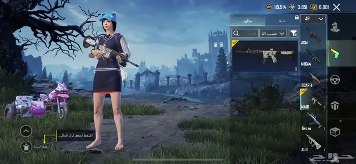 حساب ببجي 20