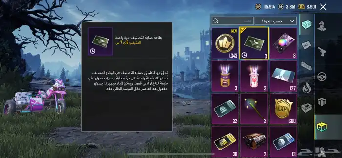 حساب ببجي 22