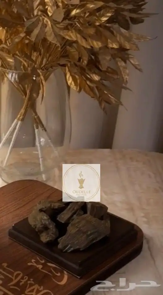 عود الكينام الطبيعي المحسن والكلمنتان المحسن 2