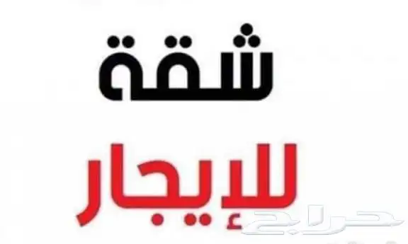 شقه للايجار 0