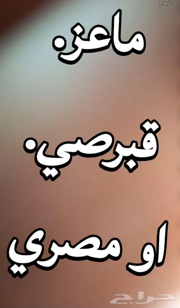 مطلوب ماعز قبرصي او مصري 0