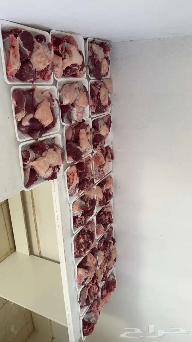 ذبايح الرس للبيع خدمه توصيل وصلخ 0