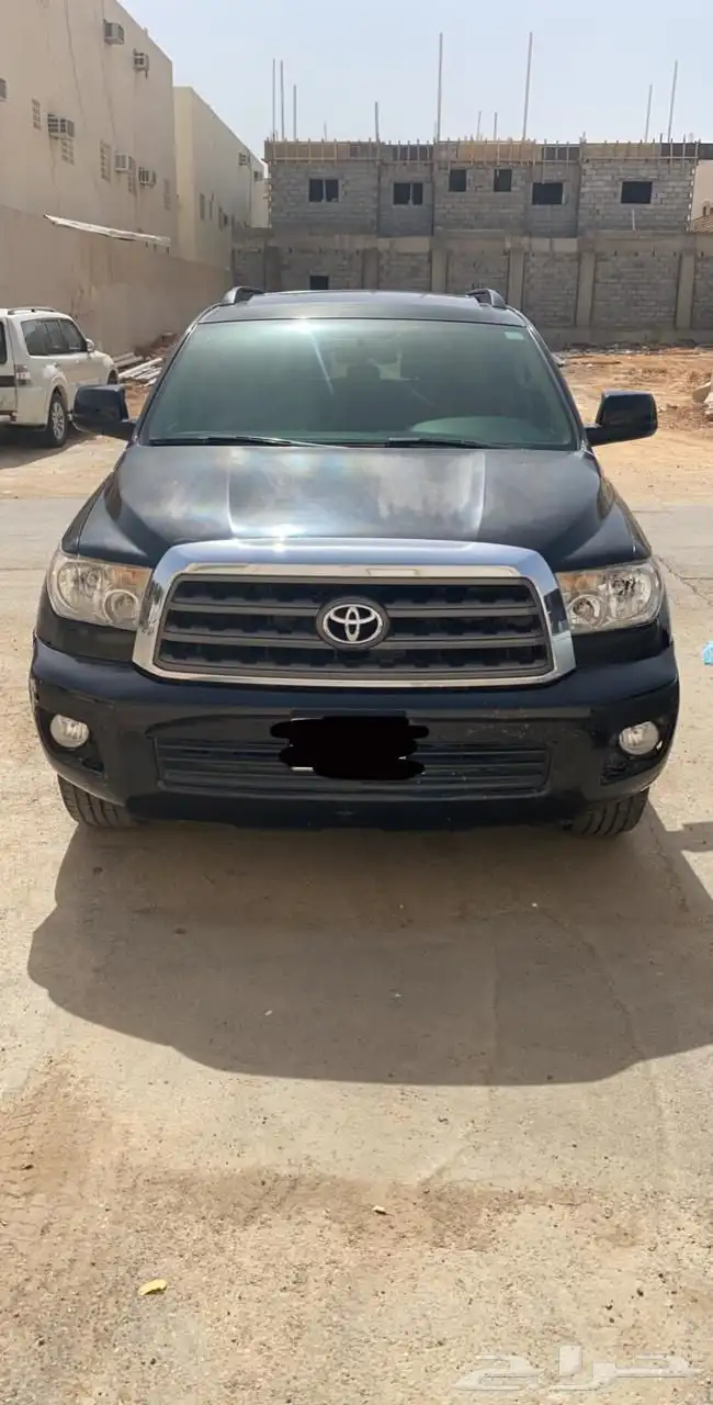 سكويا للبيع 0