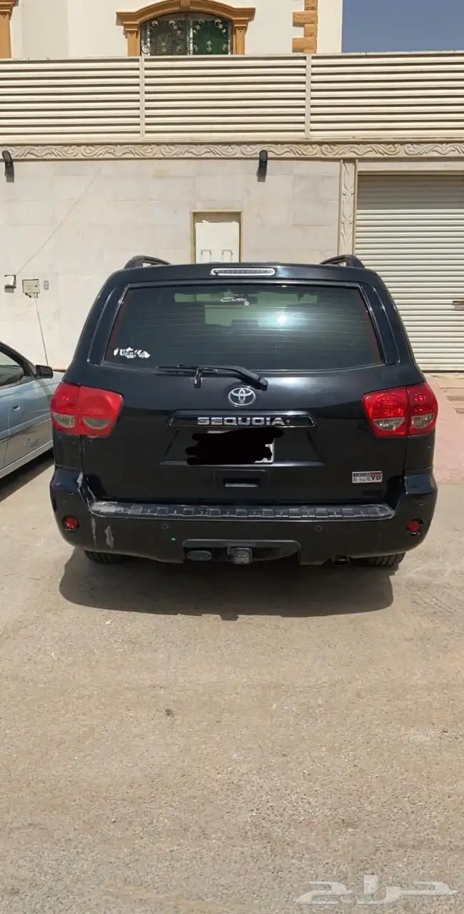 سكويا للبيع 11