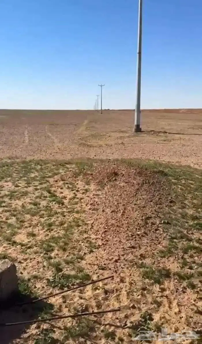 مزرعة دواجن للبيع 2