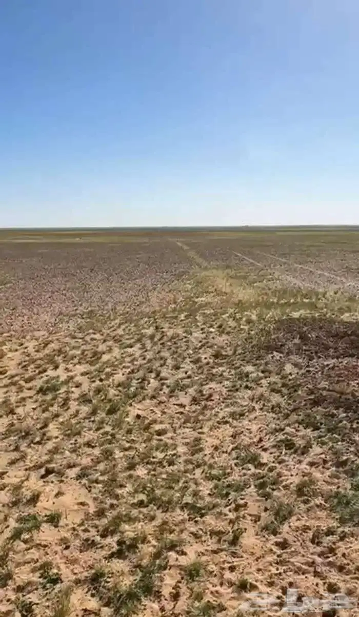 مزرعة دواجن للبيع 1