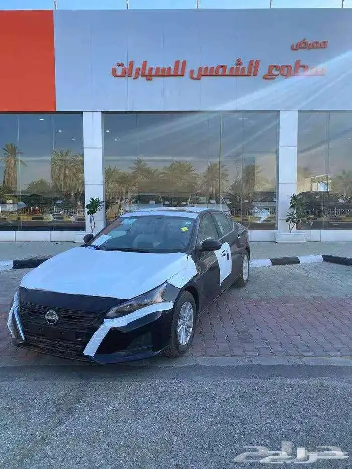 التيما ستاندر 2025 1