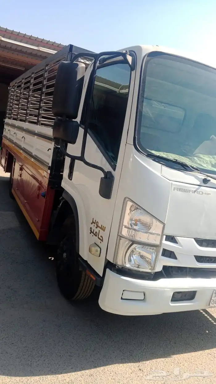 دينا اسوزو للبيع 2020 5