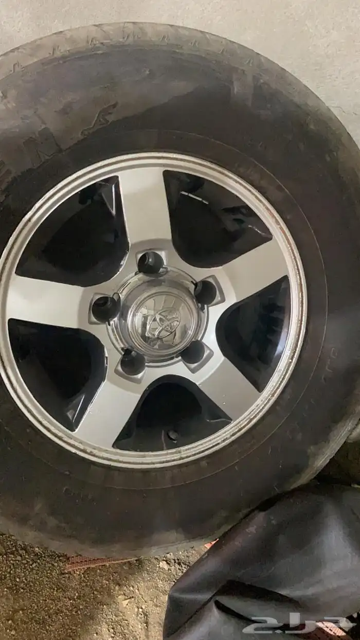 جنوط شاص وربع 16 نجمه الشكل القديم 2