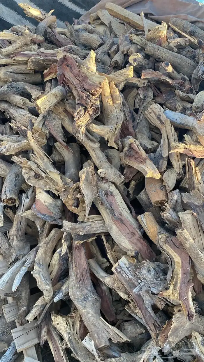 صندوق ددسن نظيف 4