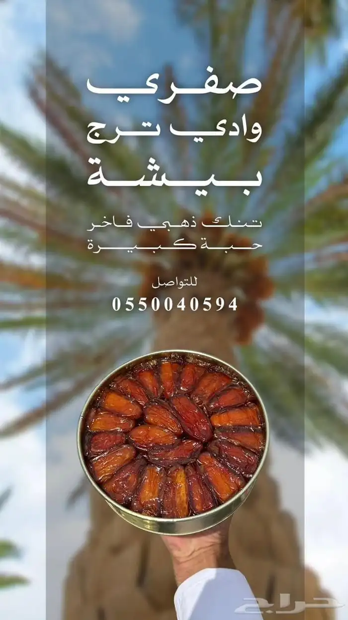 تنك ذهبي صفري بيشة 0