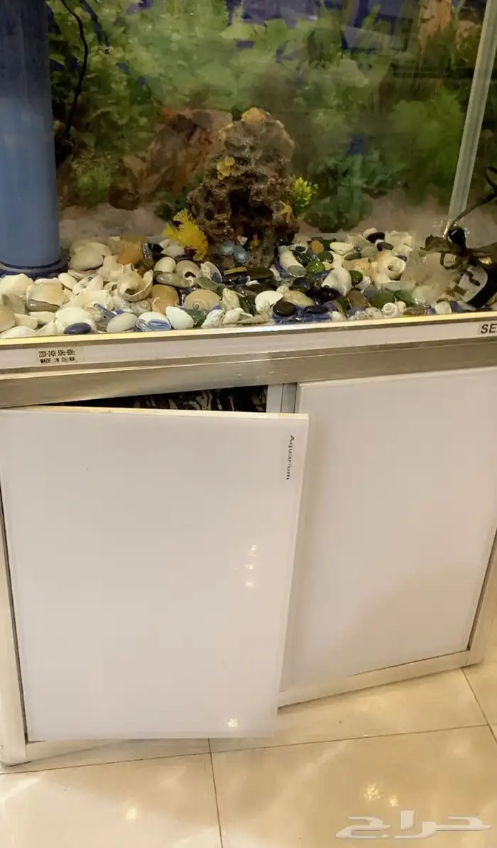 حوض سباحة الأسماك كبير طواله مترين و عرض متر جديد 3