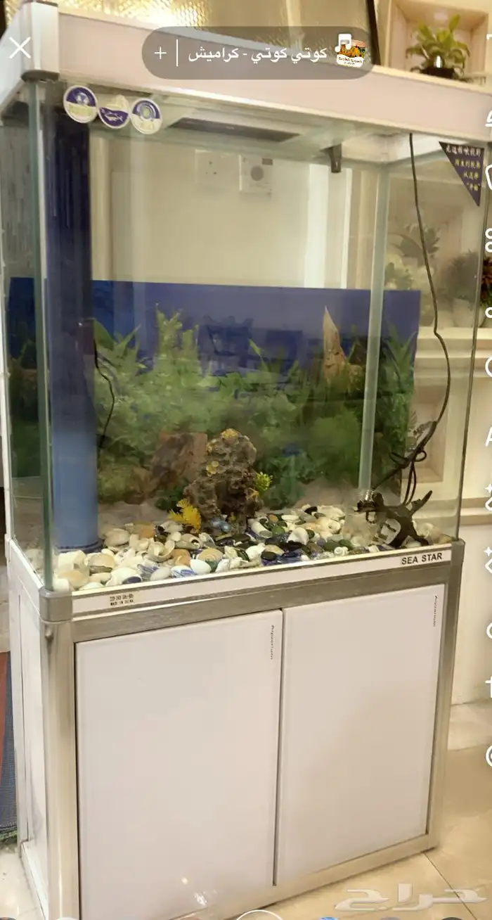 حوض سباحة الأسماك كبير طواله مترين و عرض متر جديد 0