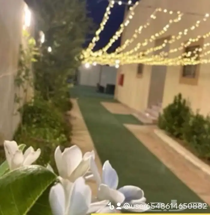 استراحات للايجار السنوي مفروشه 10