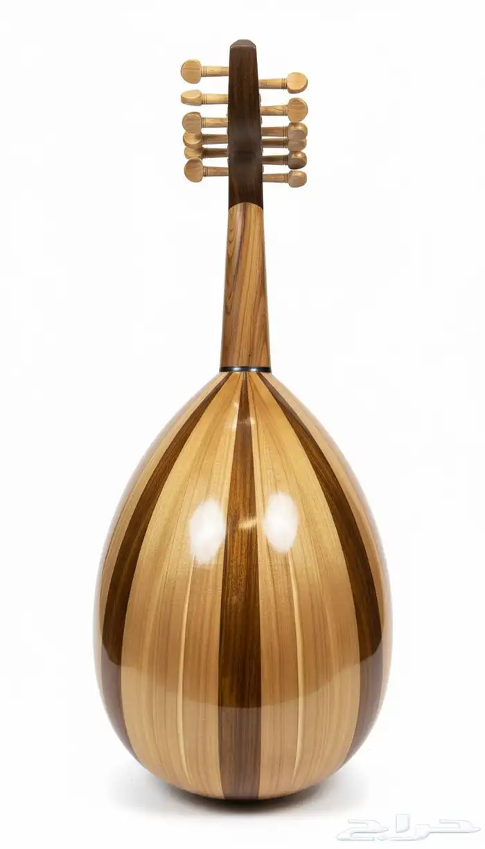 عود الفن للمبتدئين 1