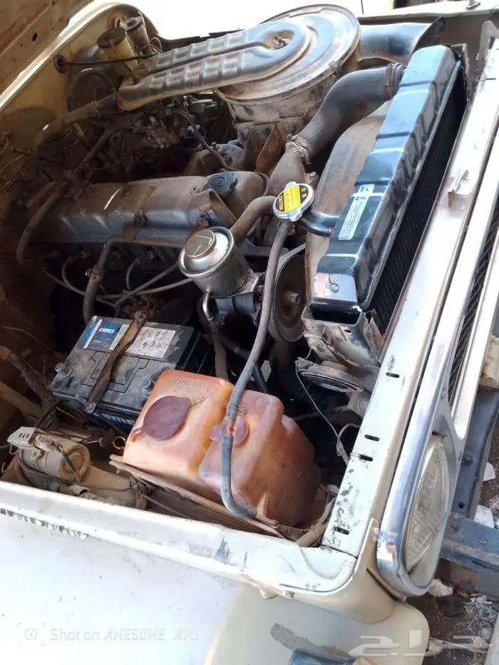 شاص84 قديمك نديمك لو الجديد اغناك 3